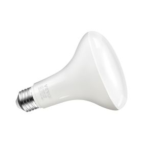 BR30 Flood Light Bulb, 12 Pack LED Indoor Flood Lights, 850 Lumens LED Flood Light Bulbs, E26 Standard Base, 3000K Warm Light, 15,000 Hour Lifeti