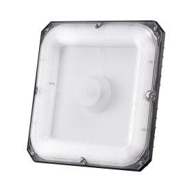 4 Pack LED Canopy Lights, 80W, 8800LM 5000K Daylight Commercial Industrial Outdoor Canopy Lights